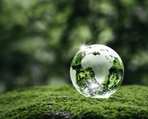Earth and Green Environment Showing Sustainability