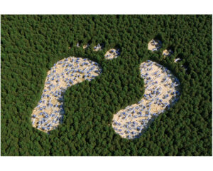 Foot Print