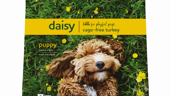DAISY w shadow
