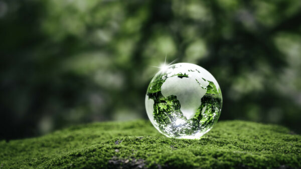 Earth and Green Environment Showing Sustainability