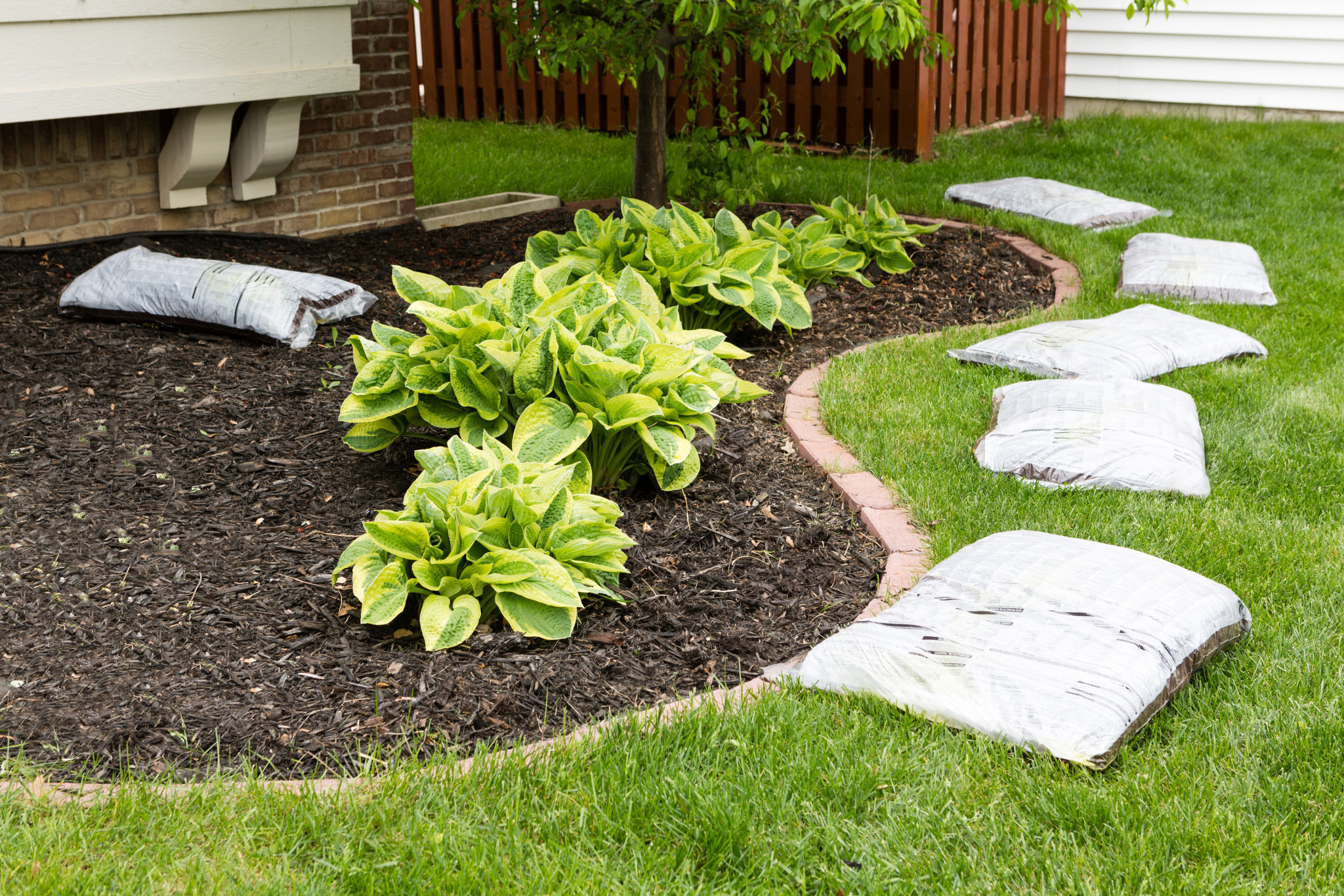 garden bed