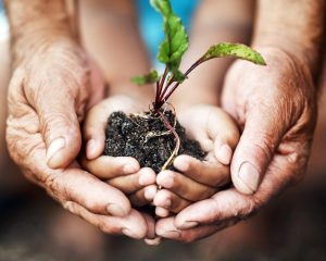 I Stock974643844 RGB